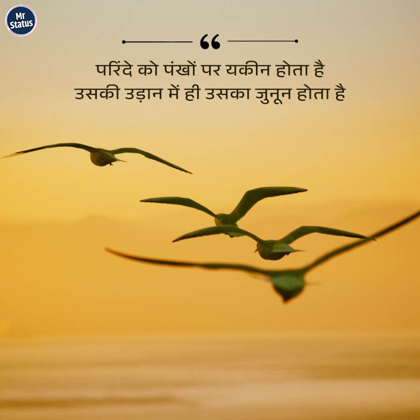 Download free status image